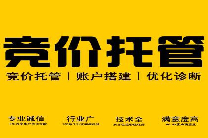 案例分享：SEM代运营如何实现ROI最大化